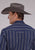 Roper Mens 2477 Western Stripe Navy/Brown Cotton Blend L/S Shirt