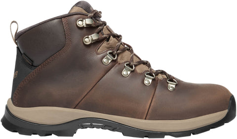 Danner Mens Sandy Ridge 4.5in Brown Leather Work Boots