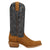 Dan Post Womens Lanessa Tan/Blue Suede 13in Cowboy Boots