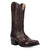 Dan Post Womens Rio Grande Chocolate Leather 13in Cowboy Boots
