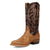 Dan Post Mens Spurline Honey/Chocolate Lizard Skin 13in Cowboy Boots