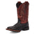 Dan Post Youth Unisex Dexter Black/Red Leather Cowboy Boots