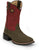 Justin Mens Show Stopper 11in Western Ash/Red Leather Frontier Cowboy Boots